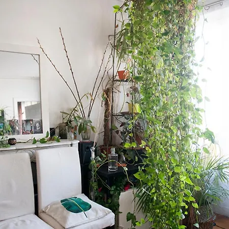 Hostnfly - Superb Bright And Vegetal شقة